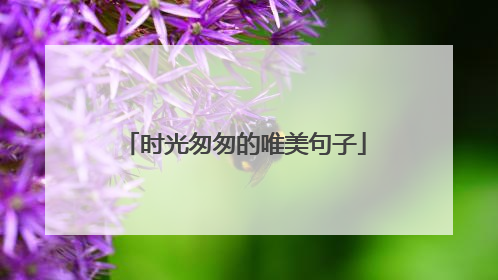 时光匆匆的唯美句子