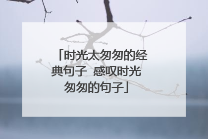 时光太匆匆的经典句子 感叹时光匆匆的句子