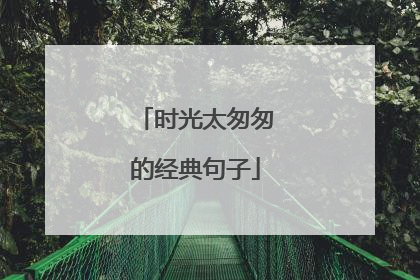 时光太匆匆的经典句子