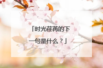 时光荏苒的下一句是什么?