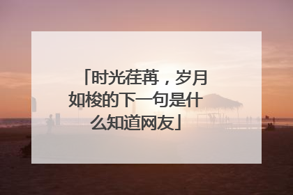 时光荏苒,岁月如梭的下一句是什么知道网友
