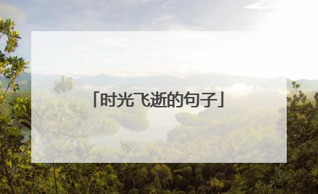 时光飞逝的句子