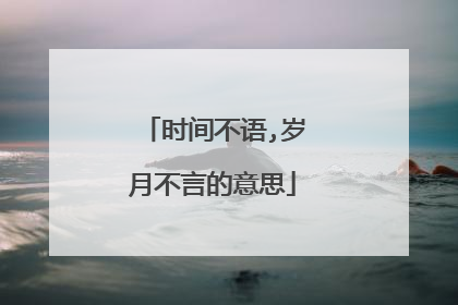 时间不语,岁月不言的意思