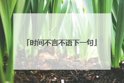 时间不言不语下一句