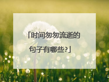 时间匆匆流逝的句子有哪些?