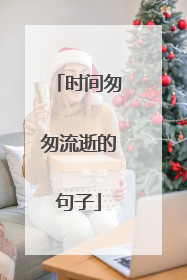 时间匆匆流逝的句子