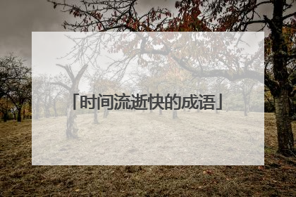 时间流逝快的成语