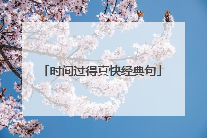 时间过得真快经典句