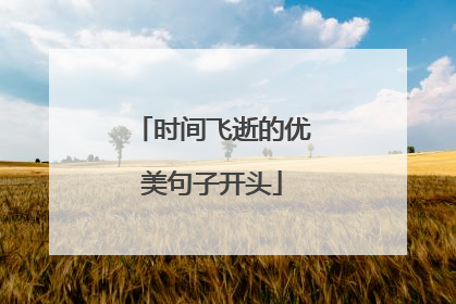 时间飞逝的优美句子开头