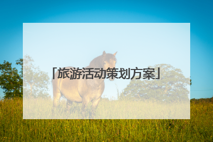 旅游活动策划方案
