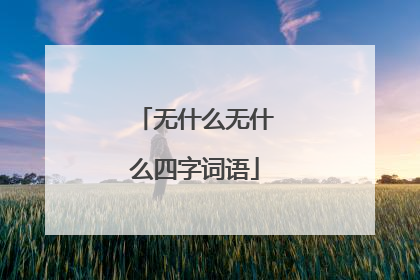 无什么无什么四字词语