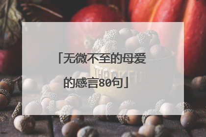 无微不至的母爱的感言80句