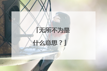 无所不为是什么意思？