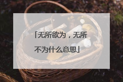 无所欲为，无所不为什么意思