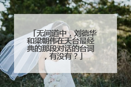 无间道中，刘德华和梁朝伟在天台最经典的那段对话的台词，有没有？