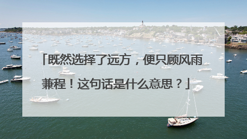 既然选择了远方，便只顾风雨兼程！这句话是什么意思？
