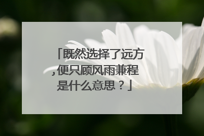 既然选择了远方,便只顾风雨兼程是什么意思？