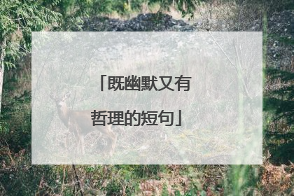 既幽默又有哲理的短句