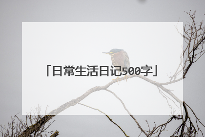 日常生活日记500字
