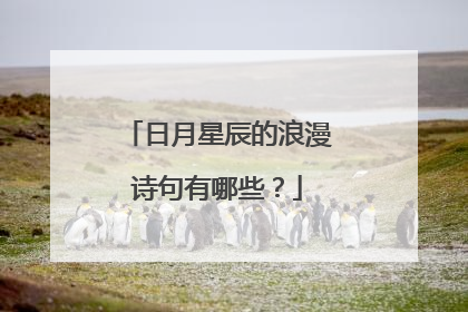 日月星辰的浪漫诗句有哪些？