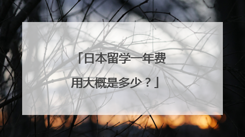 日本留学一年费用大概是多少?