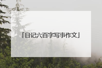 日记六百字写事作文