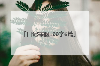 日记寒假100字6篇