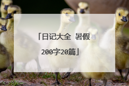 日记大全 暑假200字20篇