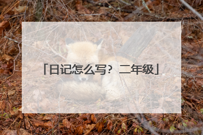 日记怎么写? 二年级