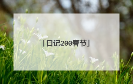 日记200春节
