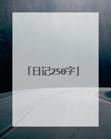 日记250字