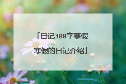 日记300字寒假 寒假的日记介绍