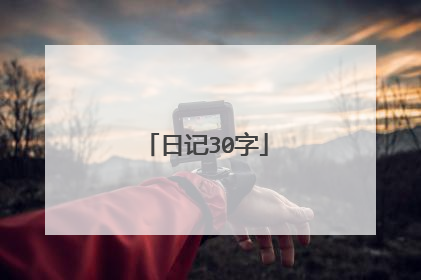 日记30字
