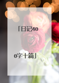 日记400字十篇