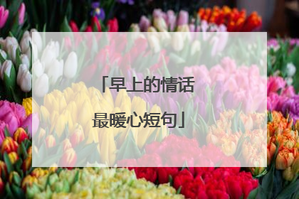 早上的情话最暖心短句