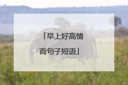 早上好高情商句子短语