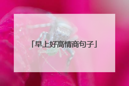 早上好高情商句子