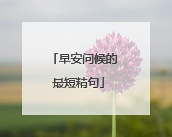 早安问候的最短精句