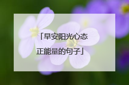 早安阳光心态正能量的句子