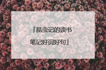 昆虫记的读书笔记好词好句