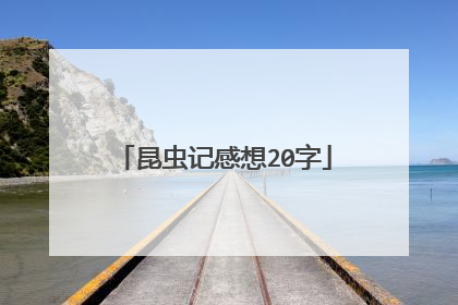 昆虫记感想20字