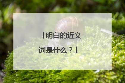 明白的近义词是什么？