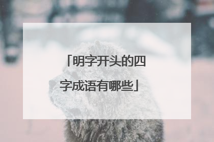明字开头的四字成语有哪些