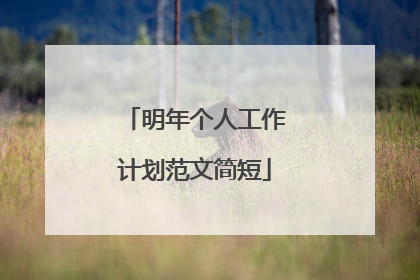 明年个人工作计划范文简短
