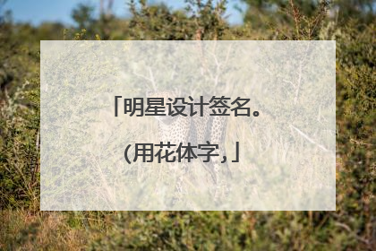 明星设计签名。 (用花体字,