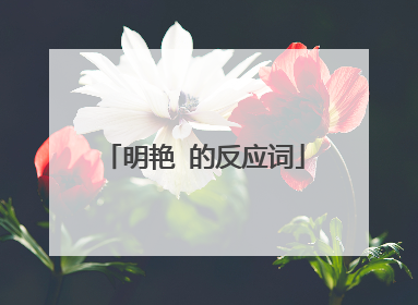 明艳 的反应词