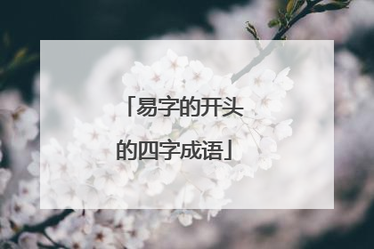 易字的开头的四字成语