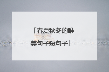春夏秋冬的唯美句子短句子