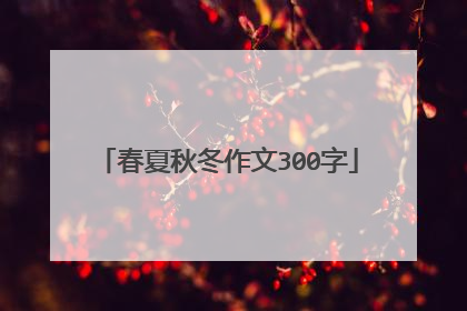 春夏秋冬作文300字