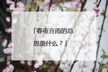 春夜喜雨的意思是什么?